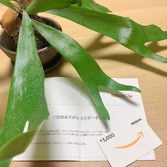nao.roomさんの実例写真