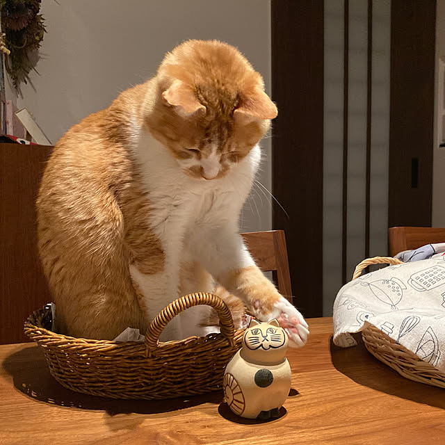 mkmkmoominさんの部屋
