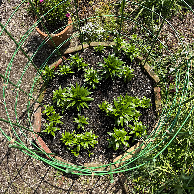 ritsukoさんの部屋