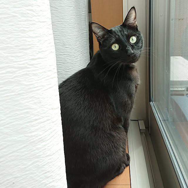 maikyさんの実例写真