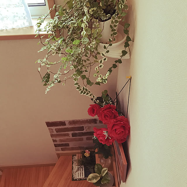壁/天井/雑貨/ダイソー/観葉植物/100均...などのインテリア実例 - 2018-10-04 16:33:17