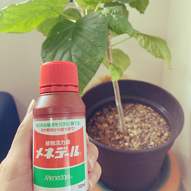 Asukaさんの実例写真