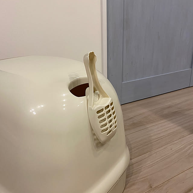 rengeさんの部屋