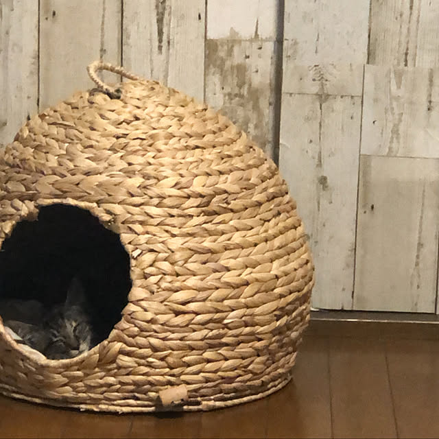 mamiさんの実例写真