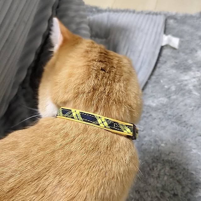 minnieさんの部屋