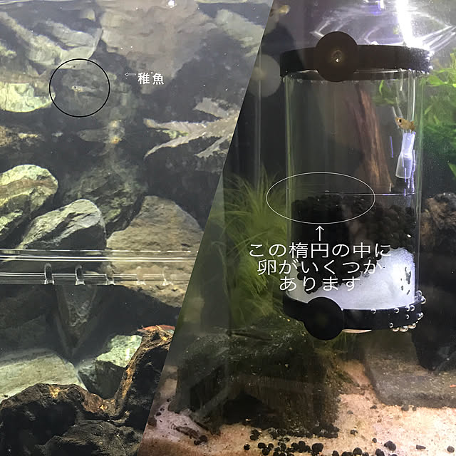 kouta_Co.さんの実例写真