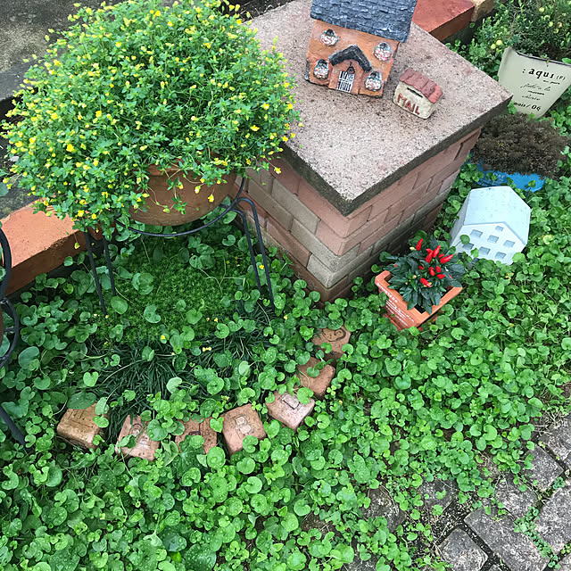 oyoさんの実例写真