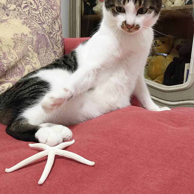 yuchiさんの実例写真