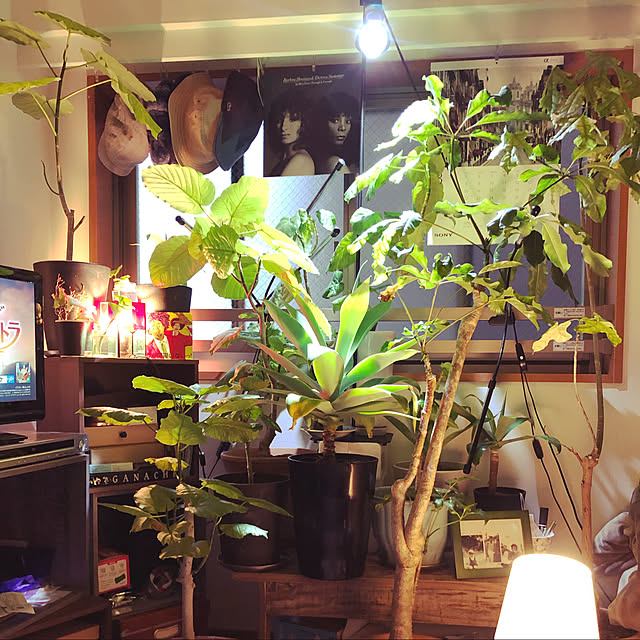 部屋全体のインテリア実例 - 2021-03-21 12:50:24