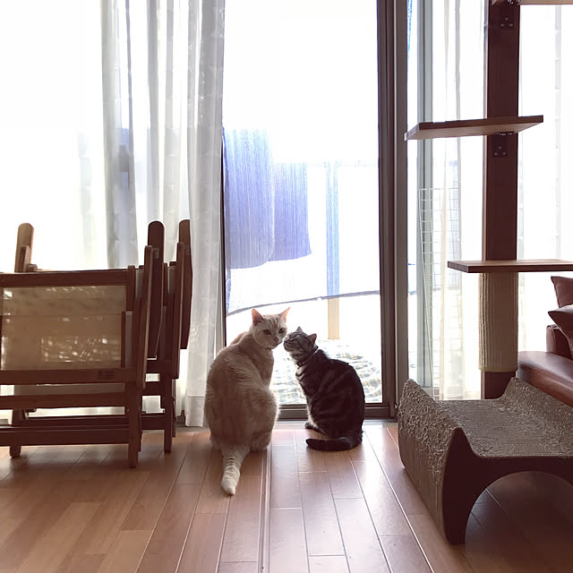 hiyupan88さんの実例写真