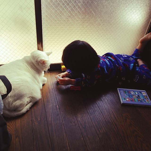 kamechanさんの実例写真