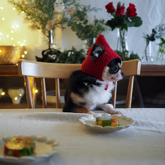 mimiedenさんの実例写真