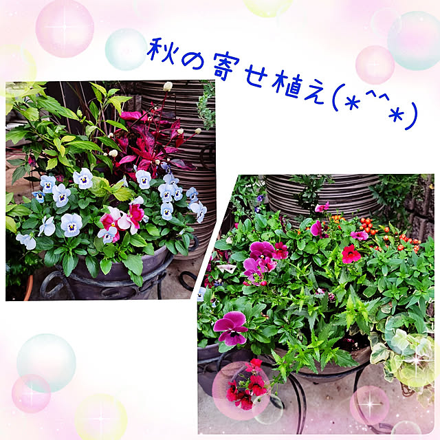 mimi828さんの実例写真