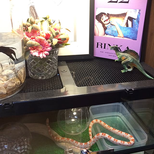 mayuさんの実例写真
