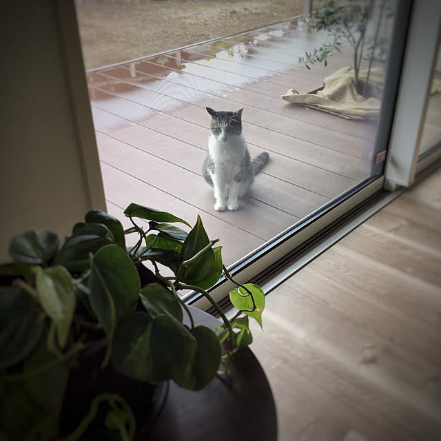 実例写真