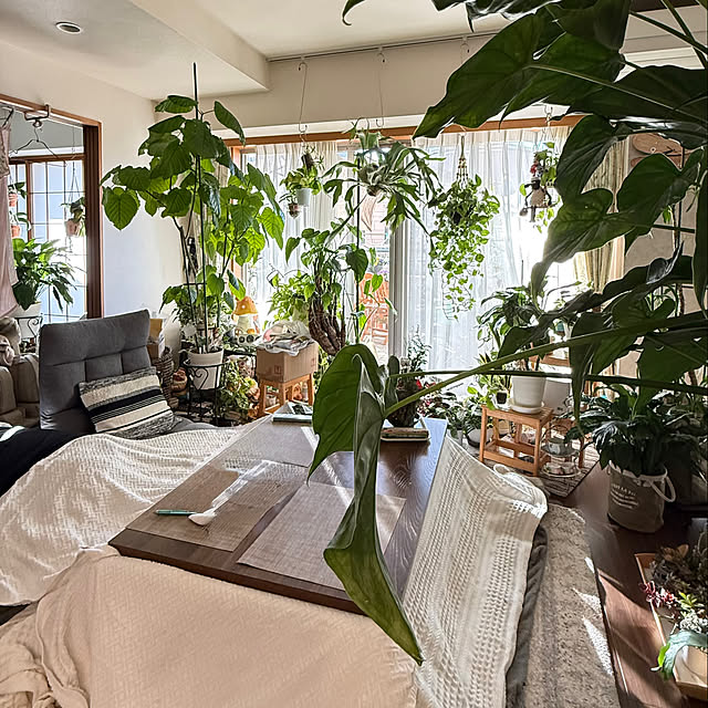 Aqettyさんの部屋