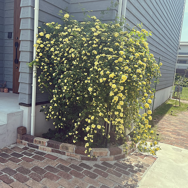 sorari25さんの実例写真