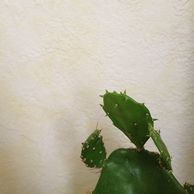 L.さんの実例写真