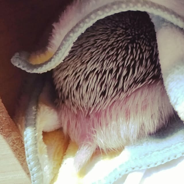 kuruさんの実例写真