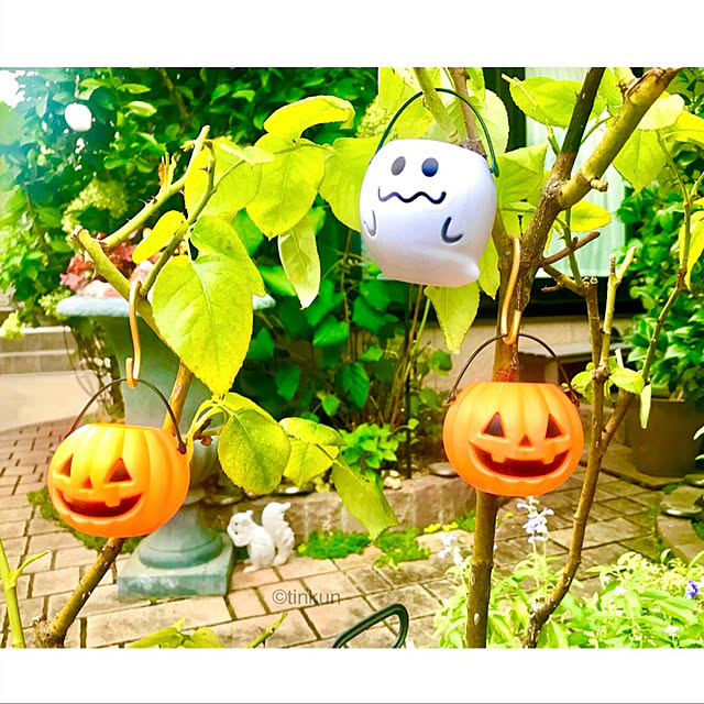 tinkunさんの実例写真