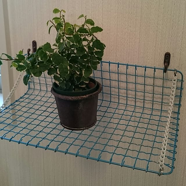wakiwakinさんの実例写真