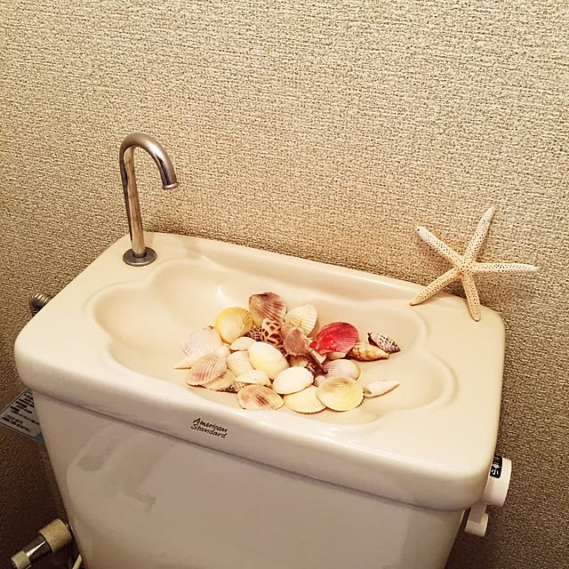 maripさんの実例写真