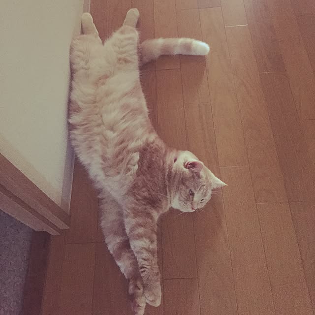 minaminaさんの実例写真