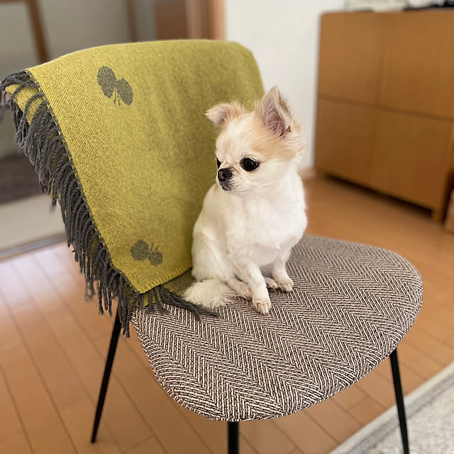 haritakaさんの部屋