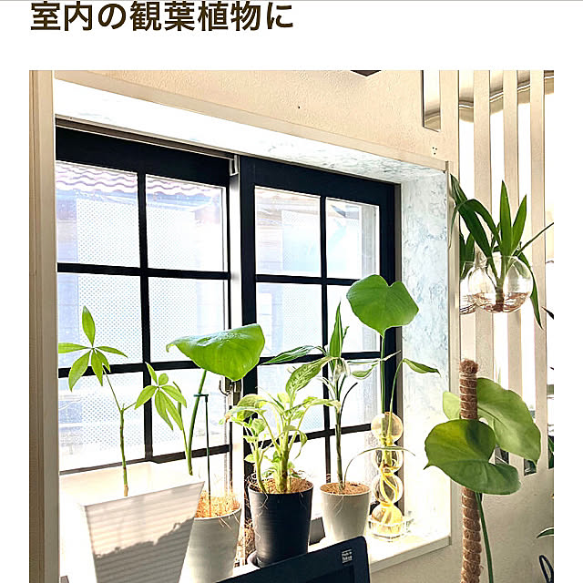 MOMOMAMAさんの部屋