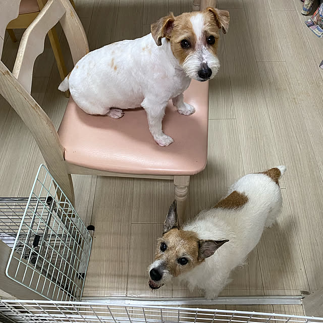 ofumozuさんの実例写真