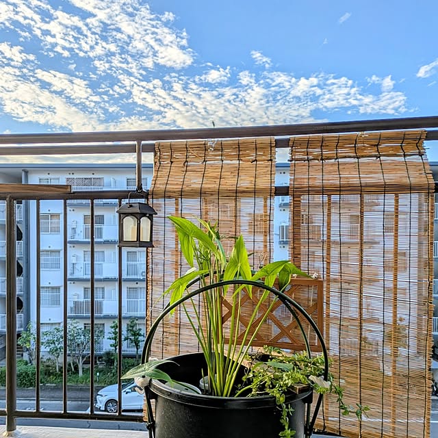 mi-saさんの実例写真