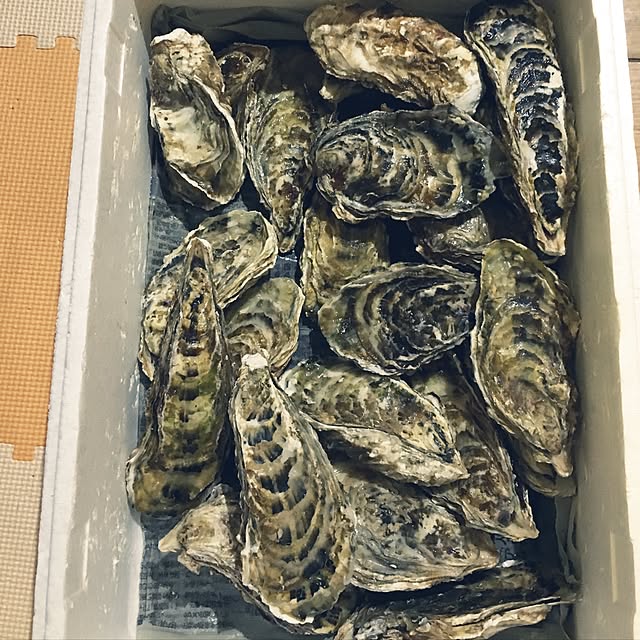 k_dinoさんの実例写真