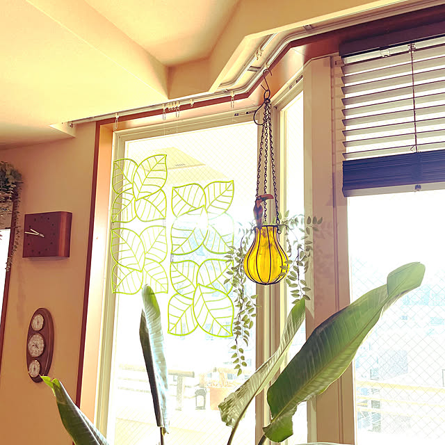 canaleseさんの部屋