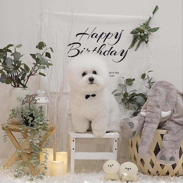 ma_house3101さんの実例写真