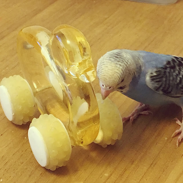 ohanaさんの実例写真