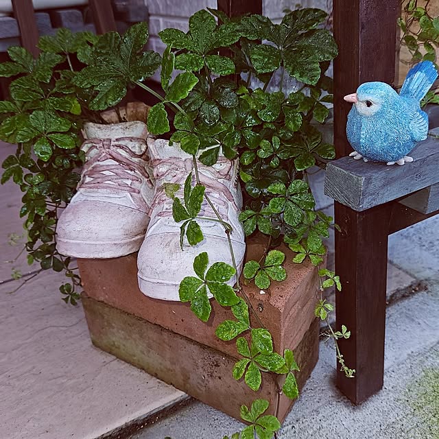 mocomocoさんの部屋
