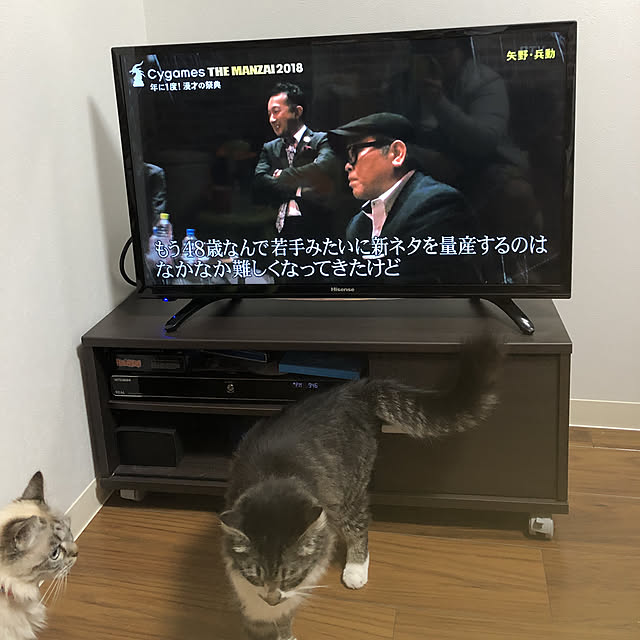 ayaさんの実例写真