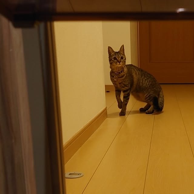 sunflower07さんの部屋
