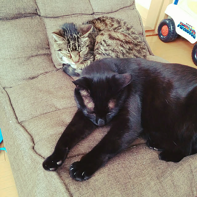 mametarouさんの実例写真