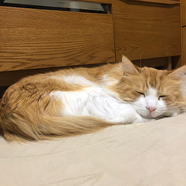 uchidaizuさんの実例写真