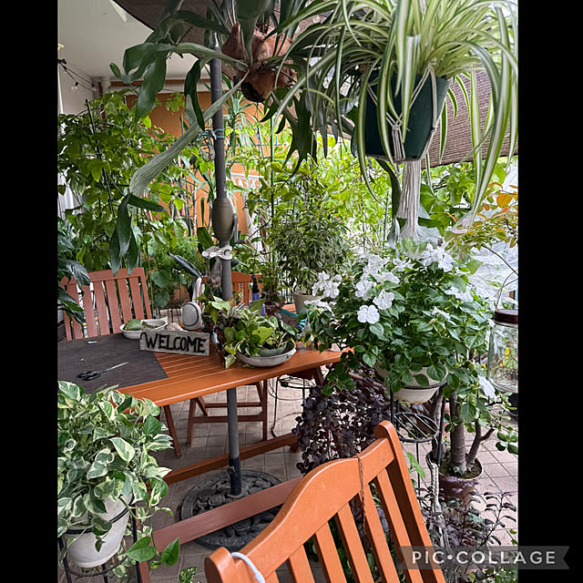 Aqettyさんの部屋