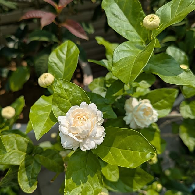 wumag418さんの部屋