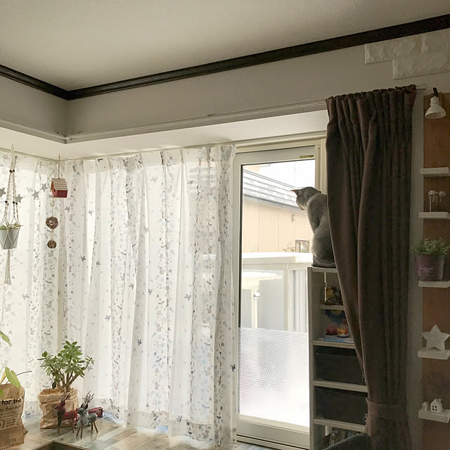 kotoriさんの実例写真