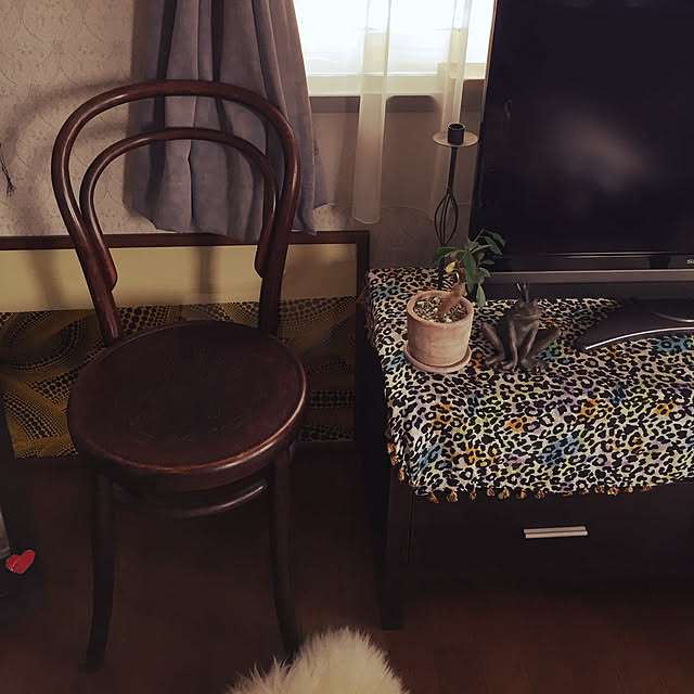piさんの実例写真