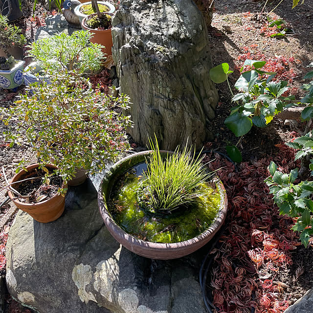 shin0719さんの部屋