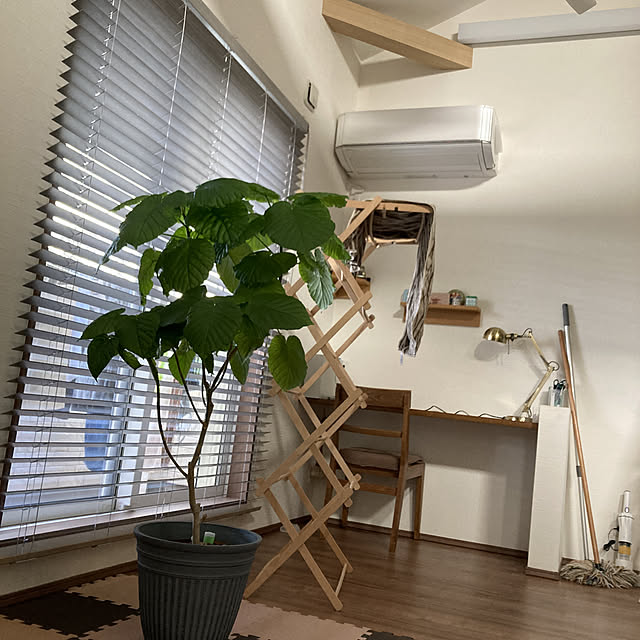 mnkb.1さんの実例写真