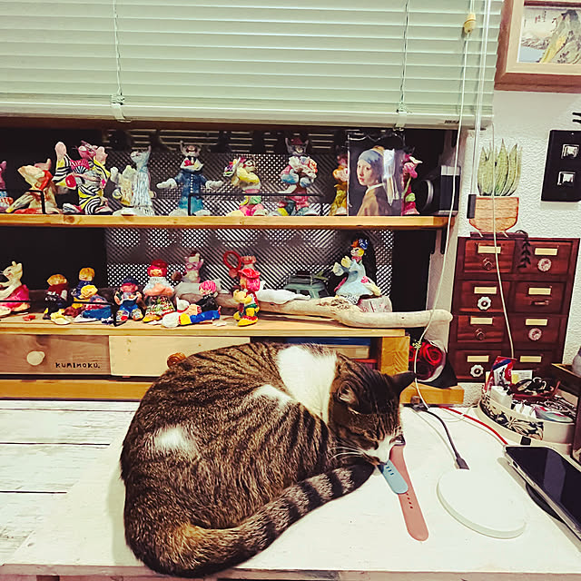 jijiさんの部屋