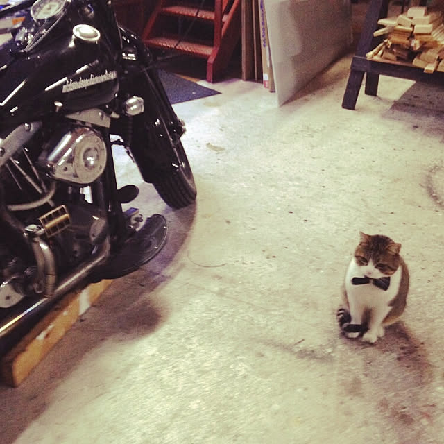 pontaseisakusyoさんの実例写真