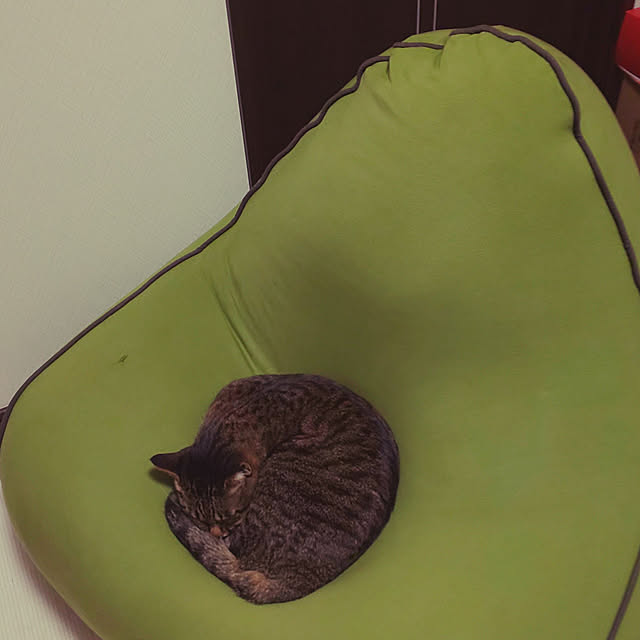 komugiさんの実例写真