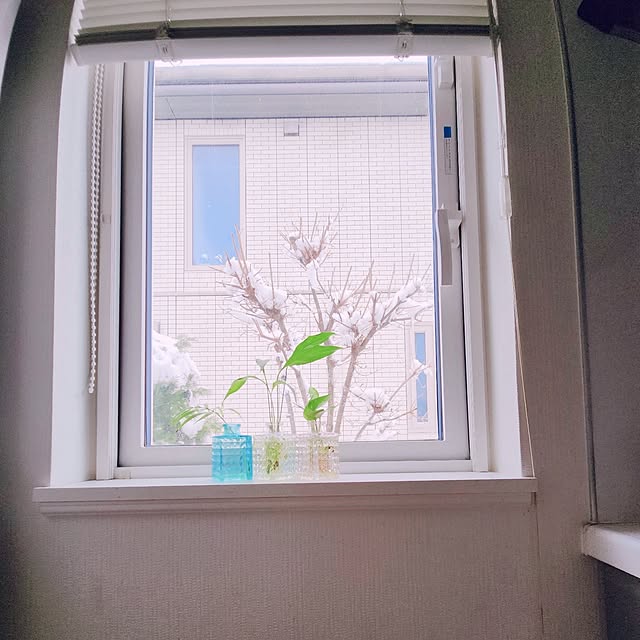 surviveさんの部屋